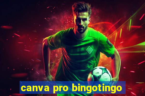 canva pro bingotingo